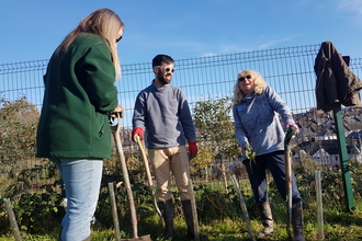 Individuals standing around planted trees with shovels 
